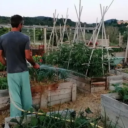 Farm stay Podere Il Fornacino *