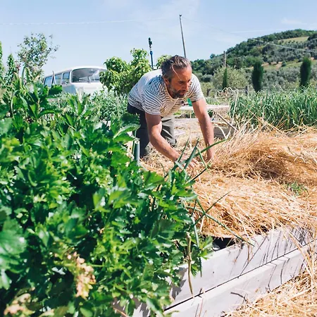 Farm stay Podere Il Fornacino