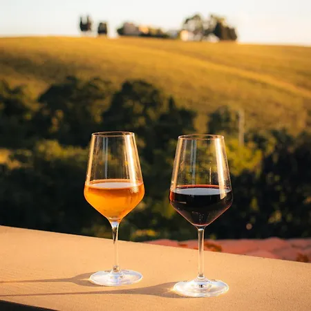 Podere Il Fornacino Farm stay