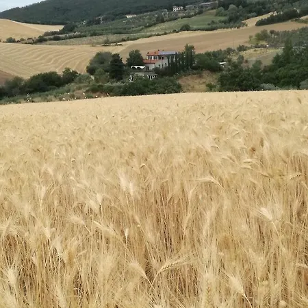 Farm stay Podere Il Fornacino Santa Luce